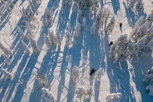 Tour image of Snowmobile Safari through Lappish Forest from Rovaniemi