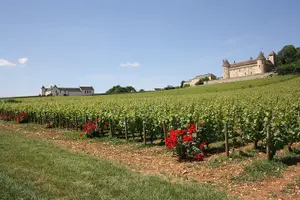 Tour image of Private tour in Burgundy with your professional guide!