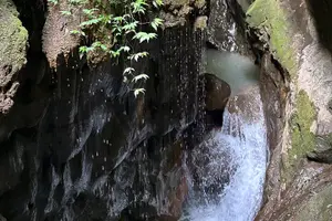 Tour image of Guided Private Day Tour of Chongqing Wulong Karst