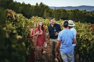 Tour image of Provence Wine Tour - Small Group Tour from Nice
