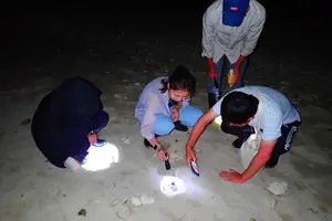 Tour image of Okinawa Ishigaki Island Night Starry sky and Jungle night tour