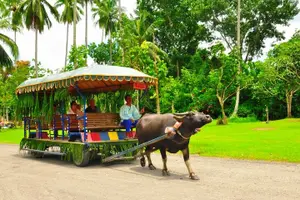 Tour image of Breathtaking Cultural Experience in Villa Escudero