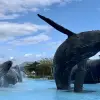 Image of Amusement Parks
