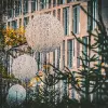 Image of Seasonal