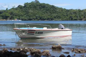 Tour image of Sunset Bioluminescence Tour by Boat