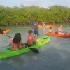 Image of Kayaking Tours