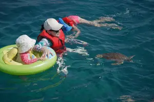 Tour image of Yellow Boat Cruises: Morning Family Blue Lagoon & Turtle Cruise