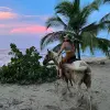 Image of Horseback Riding