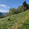Image of Nature Parks