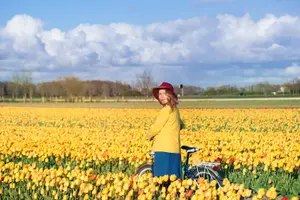 Tour image of From Amsterdam: Round-Trip Transfers to Keukenhof Tulip Fields