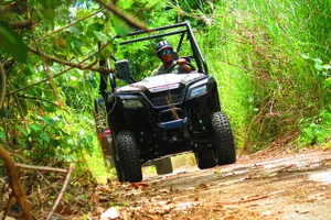 Tour image of Off Road Buggy Adventure