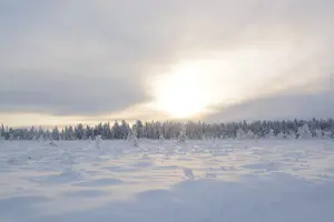 Tour image of Husky Tour Sit and Drive Combo Tour from Kiruna