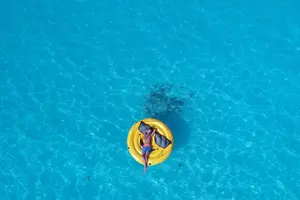 Tour image of Private Swim With Pigs and Snorkeling in Paradise Tour