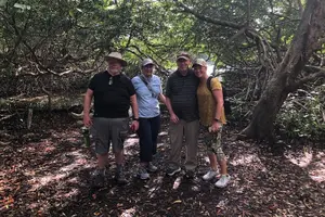 Tour image of Spanish Lagoon Mangrove Trail & Bird Watching