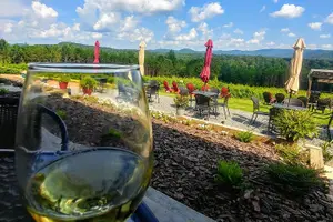 Tour image of Half-Day Wine Tastings in the North Georgia Mountains