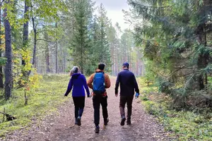 Tour image of Go North – Private 1 Day Trip to Estonian Nature
