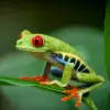 Image of Zoos & Wildlife Parks