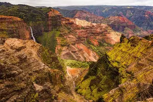 Tour image of Kauai Waimea Canyon, Wailua River Boat and Fern Grotto Tour