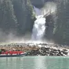 Image of Wildlife Encounters