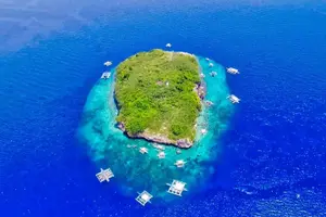 Tour image of Pescador Island with Sardines & Turtle and Canyoneering in Kawasan Falls