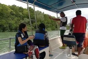 Tour image of Lebam River Kayaking Adventure