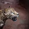 Image of Natural Attractions