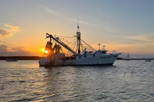 Tour image of Hilton Head Shrimp Trawling Boat Cruise