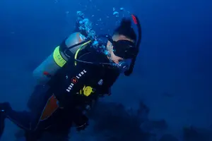 Tour image of Discover Scuba Diving in Boracay with U/W Photo and Video