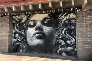 Tour image of RoRo Street Art Tour in Phoenix