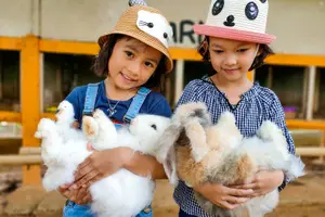 Tour image of Melaka Crocodile & Recreational Park Admission