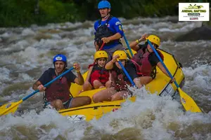Tour image of Balsa River White Water Rafting class 2/3 in Costa Rica