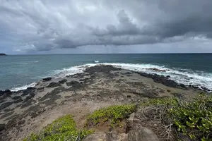 Tour image of Kauai Waterfalls & Food Tasting-Small Group Tour