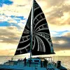 Image of Catamaran Cruises