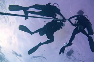 Tour image of Leisure Diving | Fun Dives | 3 Dives in TARP, Kota Kinabalu