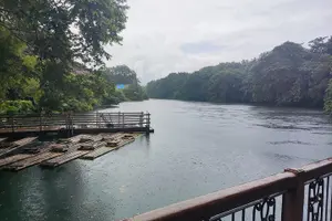 Tour image of Immerse in Culture: Villa Escudero Coconut Plantation Experience