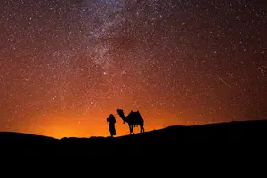 Tour image of Thrilling 4-Hour Dune Bashing & Camel Ride Safari to Inland Sea