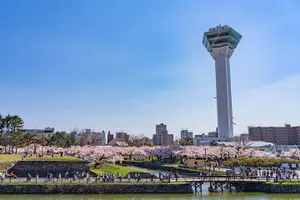 Tour image of Hakodate Private Customizable Full Day Tour