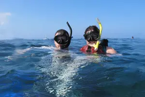 Tour image of Makena Turtle Town Eco Adventure in Maui
