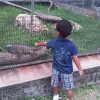 Image of Zoos & Wildlife Parks