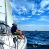 Image of Sailing