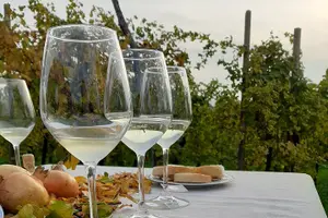 Image of Italy