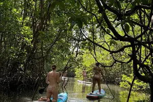 Tour image of SUP Tour in Mangrove Forest of Koh Rong Sanloem