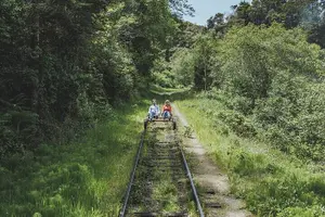 Tour image of Redwoods Railbike Along Pudding Creek