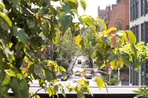 Tour image of High Line and Chelsea Small Group Tour