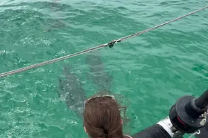 Tour image of Destin