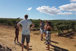 Tour image of Private Algarve Wines Route