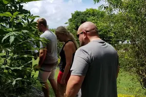 Tour image of Essence of St Lucia Heritage Experience