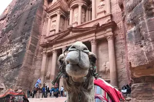 Tour image of Petra 1-Day Tour from Eilat + FREE Traditional Lunch