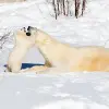 Image of Zoos & Wildlife Parks