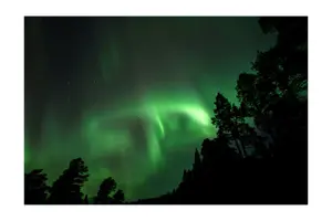 Tour image of Aurora Borealis Tour in Kiruna - Lapland with Stejk Street Food